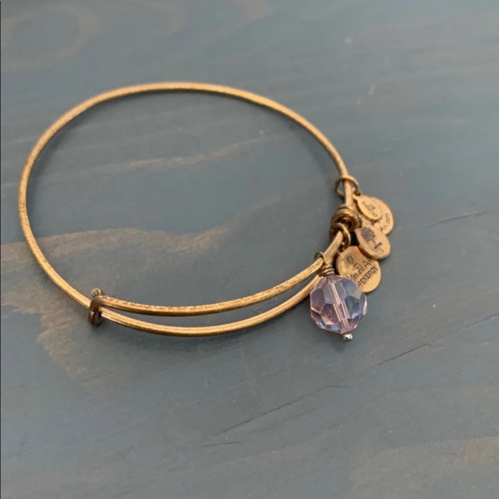 Alex and Ani Gold Bracelet
